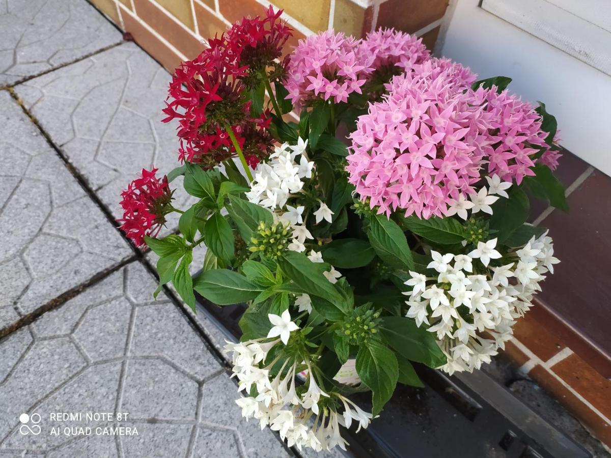 Ferienwohnung 에슈페나우 외부 사진